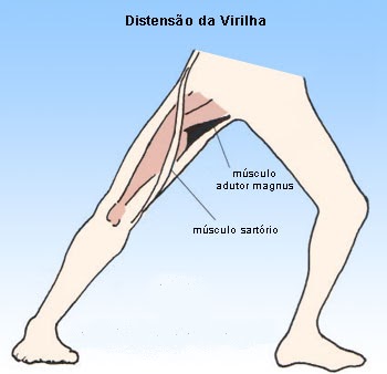 lesão muscular externa do quadril